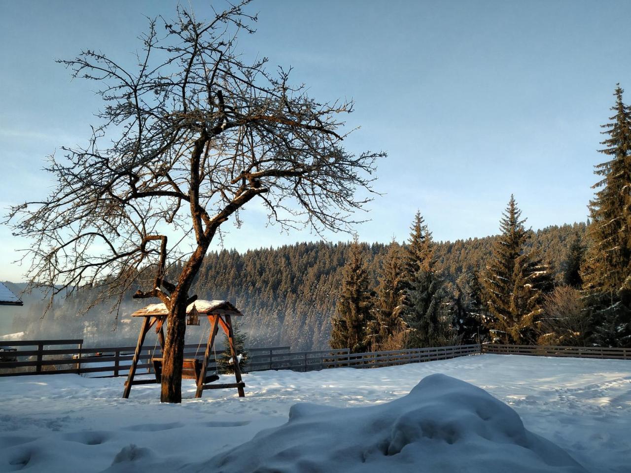 Villa Montana Borsec Exterior foto